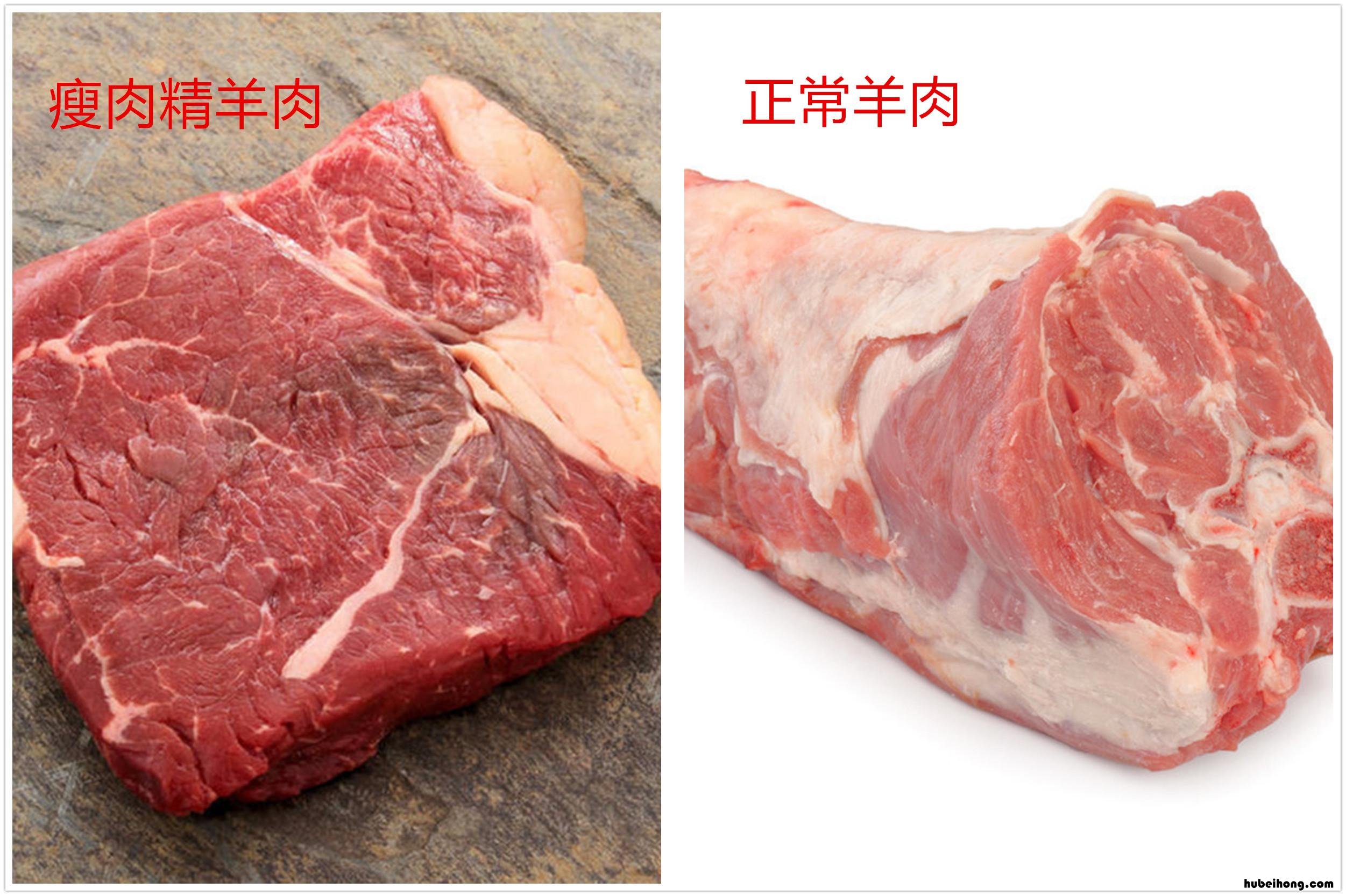 买羊肉技巧 怎么买好羊肉