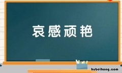 哀什么顽什么的成语是什么 哀什么什么什么四字词语