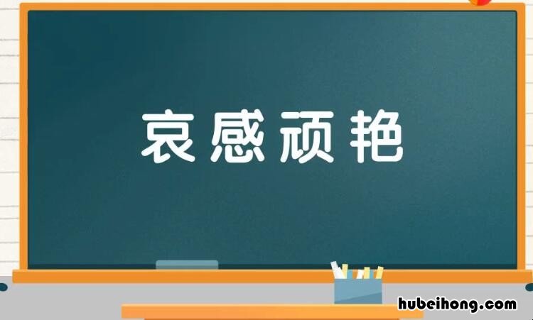 哀什么顽什么的成语是什么 哀什么什么什么四字词语