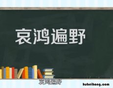 哀鸿遍野的意思是什么 哀鸿遍野的意思是什么e