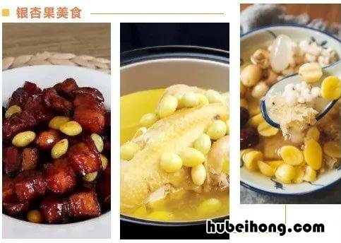 食用银杏果有什么功效,怎么吃? 怎样食用银杏果仁