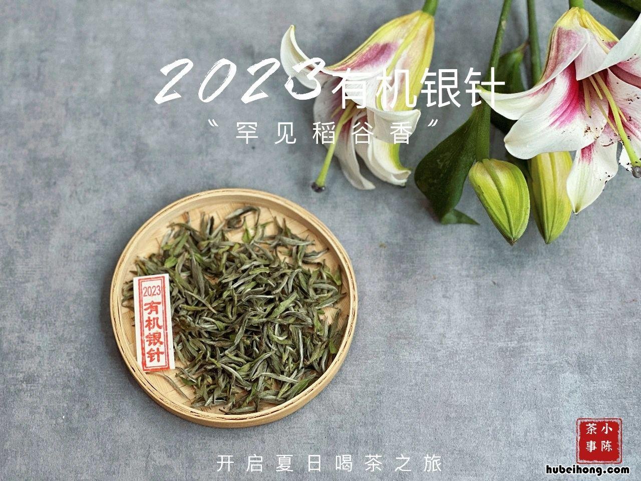 茶叶罐是紫砂的好还是陶瓷的好 紫砂罐和陶瓷罐哪个保存茶叶好百度