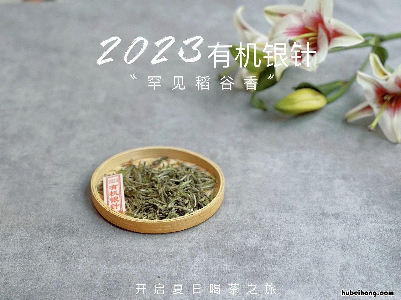 茶叶罐是紫砂的好还是陶瓷的好 紫砂罐和陶瓷罐哪个保存茶叶好百度