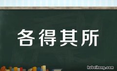 各得其所的近义词是什么 各得其所的解释词语