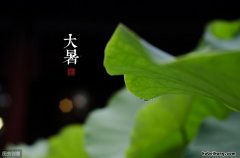 孩子出汗多怎么调理 小孩出汗多怎么食补