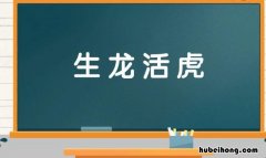 含有一对近义词的成语有哪些 含有一对近义词的有哪些成语