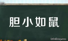 含有比喻的词语有哪些 含有比喻的四字词语的成语