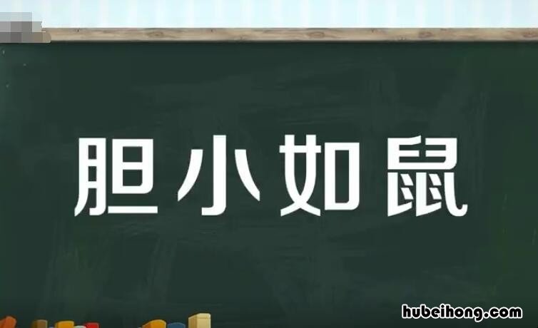 含有比喻的词语有哪些 含有比喻的四字词语的成语