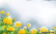 含有菊花的诗句有哪些 含有菊花的诗句有哪些四年级