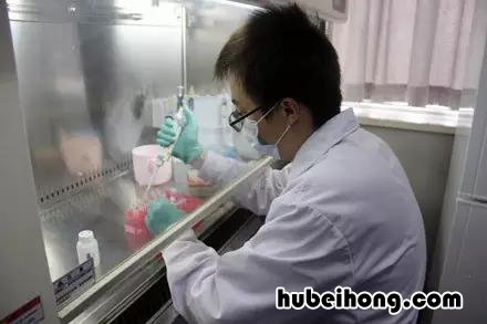 牛肉羊肉怎么看 怎样辨别牛羊肉