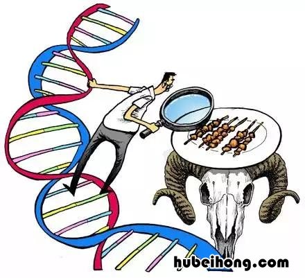 牛肉羊肉怎么看 怎样辨别牛羊肉