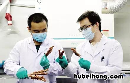 牛肉羊肉怎么看 怎样辨别牛羊肉