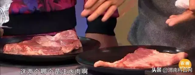 如何辨别市场上的真假羊肉? 怎么分辨真假羊肉