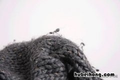 衣服起球怎么处理方法 衣服起球怎么弄?