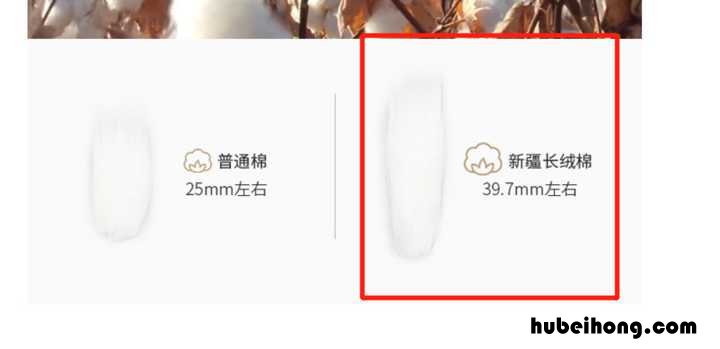 家纺四件套有哪些材质组成 家纺四件套有哪些材质好