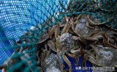 螃蟹吃不完怎么放新鲜 螃蟹吃不完咋放