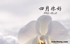 四月你好的唯美句子 四月你好的说说心情短语