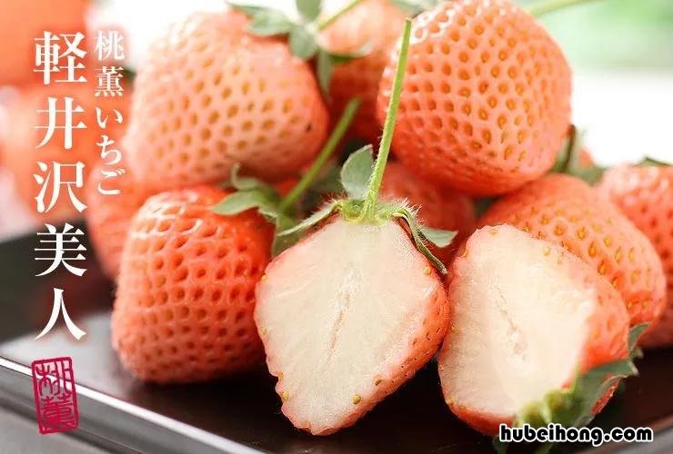 草莓怎么选品种 草莓怎么选好吃