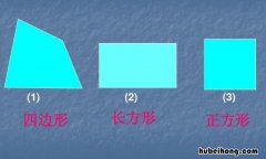 四边形的特点是什么 四边形的特点是什么正方形