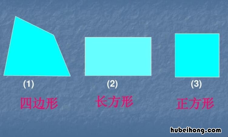 四边形的特点是什么 四边形的特点是什么正方形