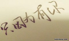 因为有你的句子暖心的有哪些 有幸相遇,不负遇见的句子