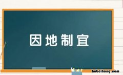 因地制宜怎么造句 因地制宜怎么造句四年级