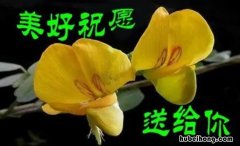 回谢别人的祝福语有哪些 回谢别人的祝福词语