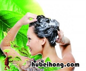 洗发水有哪些功效分类 洗发水的介绍以及使用方法