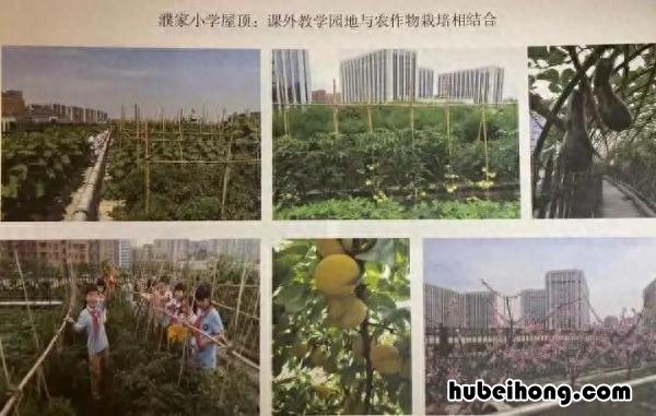 夏天顶楼没有空调怎么办视频 夏天住顶楼没空调怎么办