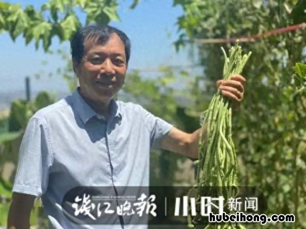 夏天顶楼没有空调怎么办视频 夏天住顶楼没空调怎么办