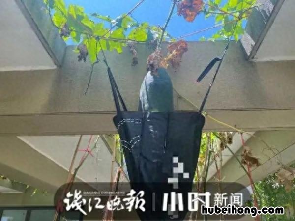 夏天顶楼没有空调怎么办视频 夏天住顶楼没空调怎么办