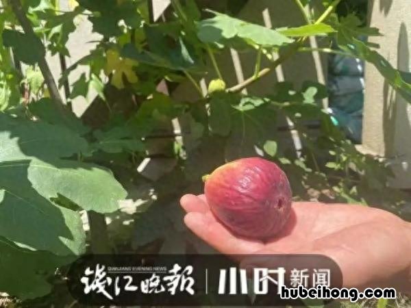 夏天顶楼没有空调怎么办视频 夏天住顶楼没空调怎么办