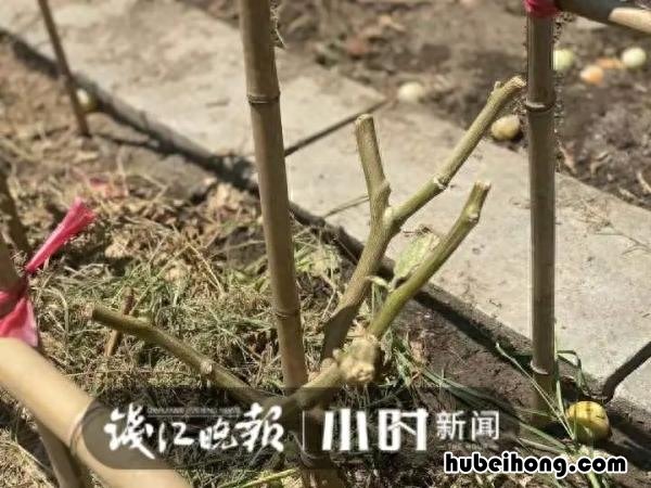 夏天顶楼没有空调怎么办视频 夏天住顶楼没空调怎么办