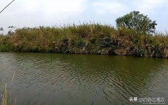 钓鱼技巧怎么确认鱼上钩 怎么看鱼是否上钩