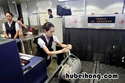 带宝宝坐飞机流程是怎么样的?第一次坐飞机 带小宝宝坐飞机攻略,一些值得注意的地方