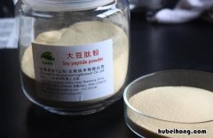 大豆肽粉有什么功效 大豆肽粉的口感太难吃了