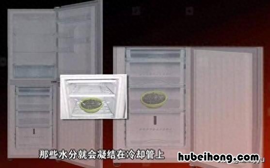 瓜子放久了就不脆了,教你一招让瓜子恢复酥脆 瓜子放久了就不脆了,教你一招让瓜子恢复酥脆的方法