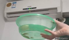 吹空调房间干燥怎么办 吹空调房间放一盆水有什么好处