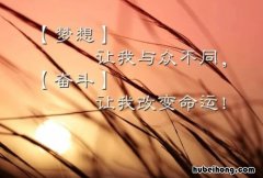 女人正能量美丽句子有哪些 女人正能量美丽的短句子