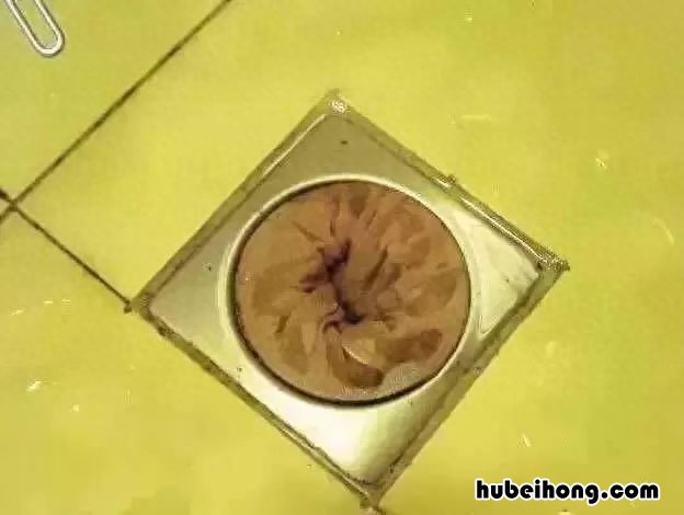 用头发做的小皮筋多少钱 用头发做的小皮筋多少钱一个