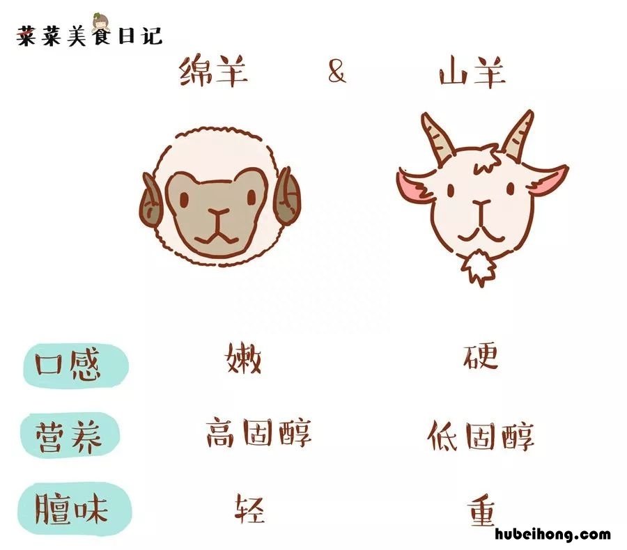火锅店的牛肉是真的吗 火锅店的牛羊肉是假的