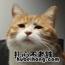 火锅店的牛肉是真的吗 火锅店的牛羊肉是假的
