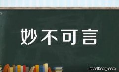 妙不可言怎么造句 妙不可言怎么造句三年级