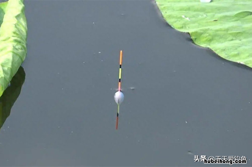 野钓浮漂的选择原则 野钓浮漂推荐