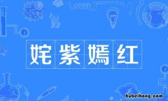 较短 姹紫嫣红怎么造句 姹紫嫣红怎么造句