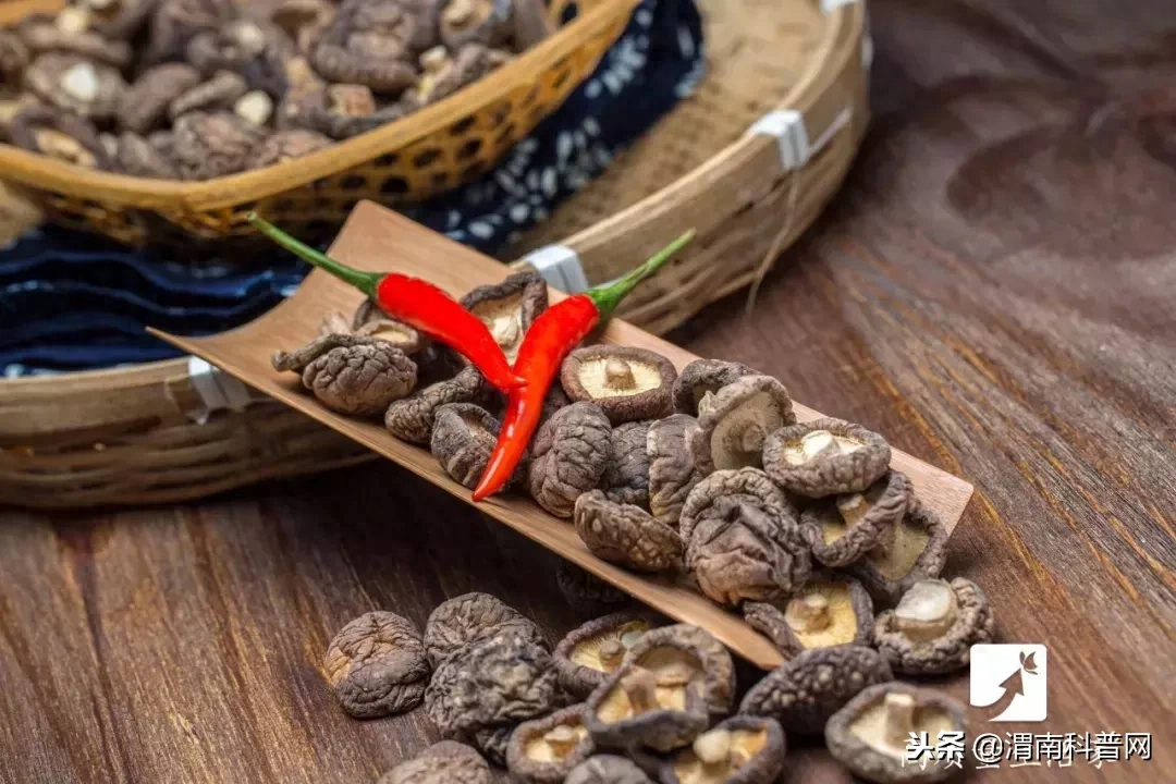怎么泡干香菇 香菇怎么泡好吃视频