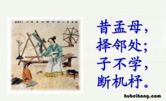 子不学下一句是什么 子不学,蚂蚁庄园