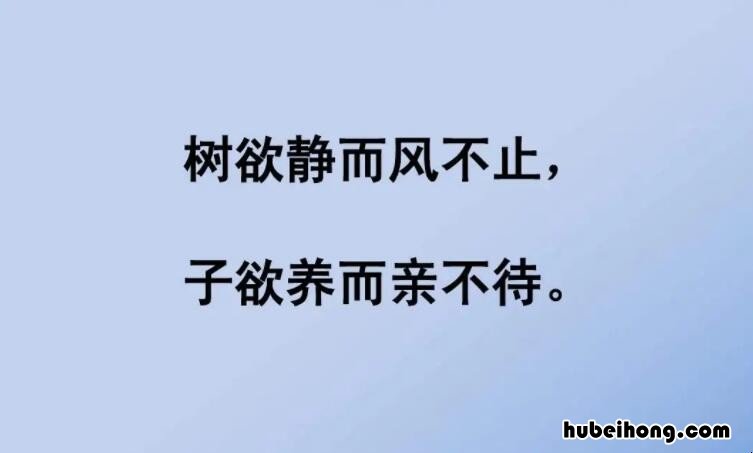 子欲养而亲不待的上一句是什么 树欲静而风不止,子欲养而亲不待