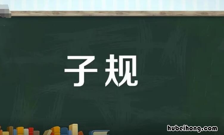 子规是什么意思 半夜子规尚且啼是什么意思