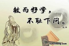 孔子名言名句有哪些 孔子的名言有哪些三年级作文